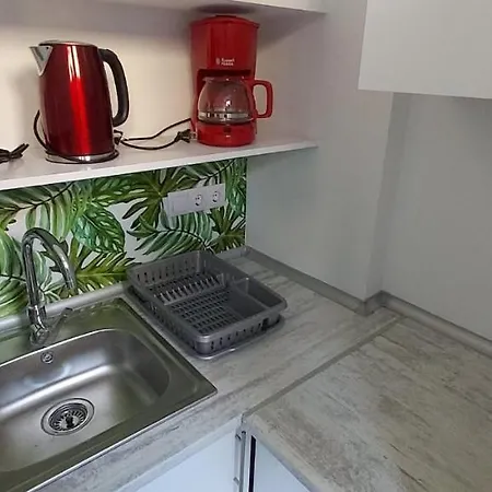 Valencialoft * 발렌시아